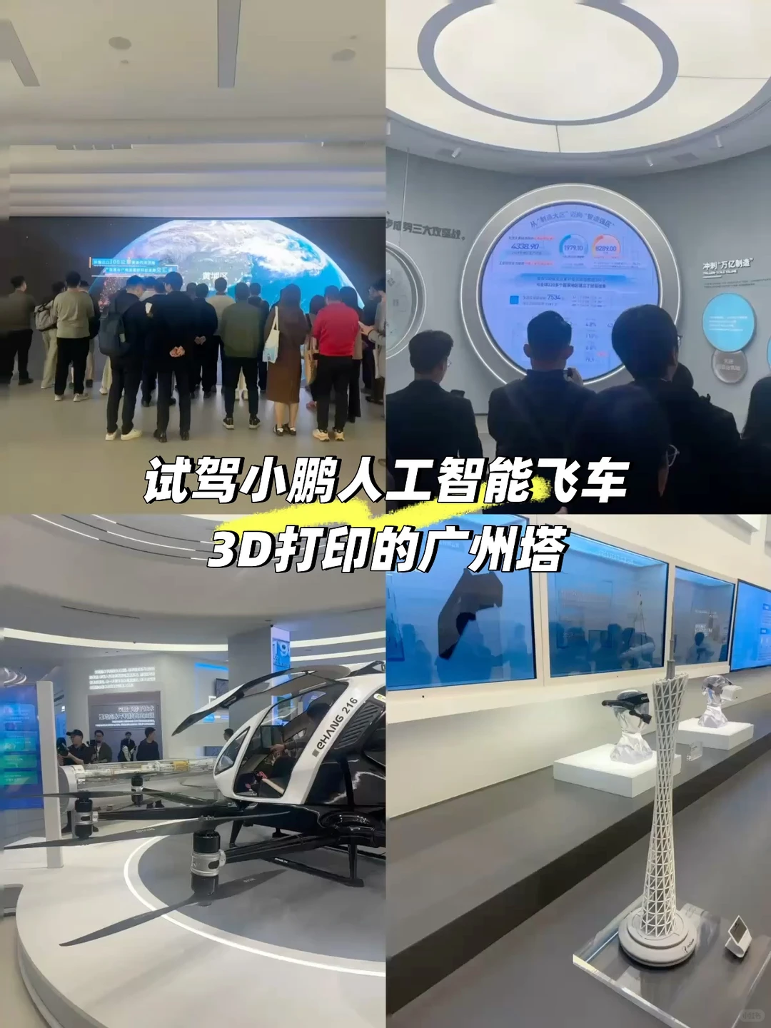 海交会双活动来袭，人才与产业双向奔赴?