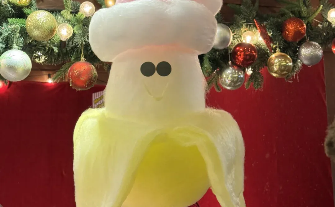 梦想成真！?❤️