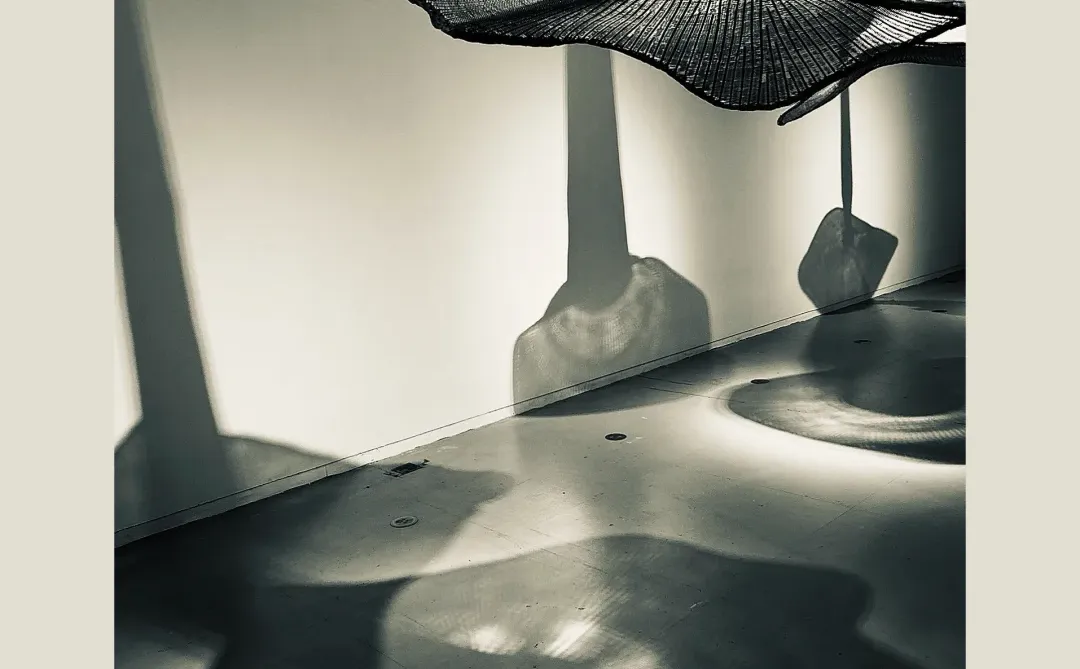 上海看展—第十五届上海双年展花儿听到蜜蜂