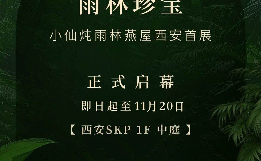 小仙炖「雨林珍宝」空降西安啦！速来打卡