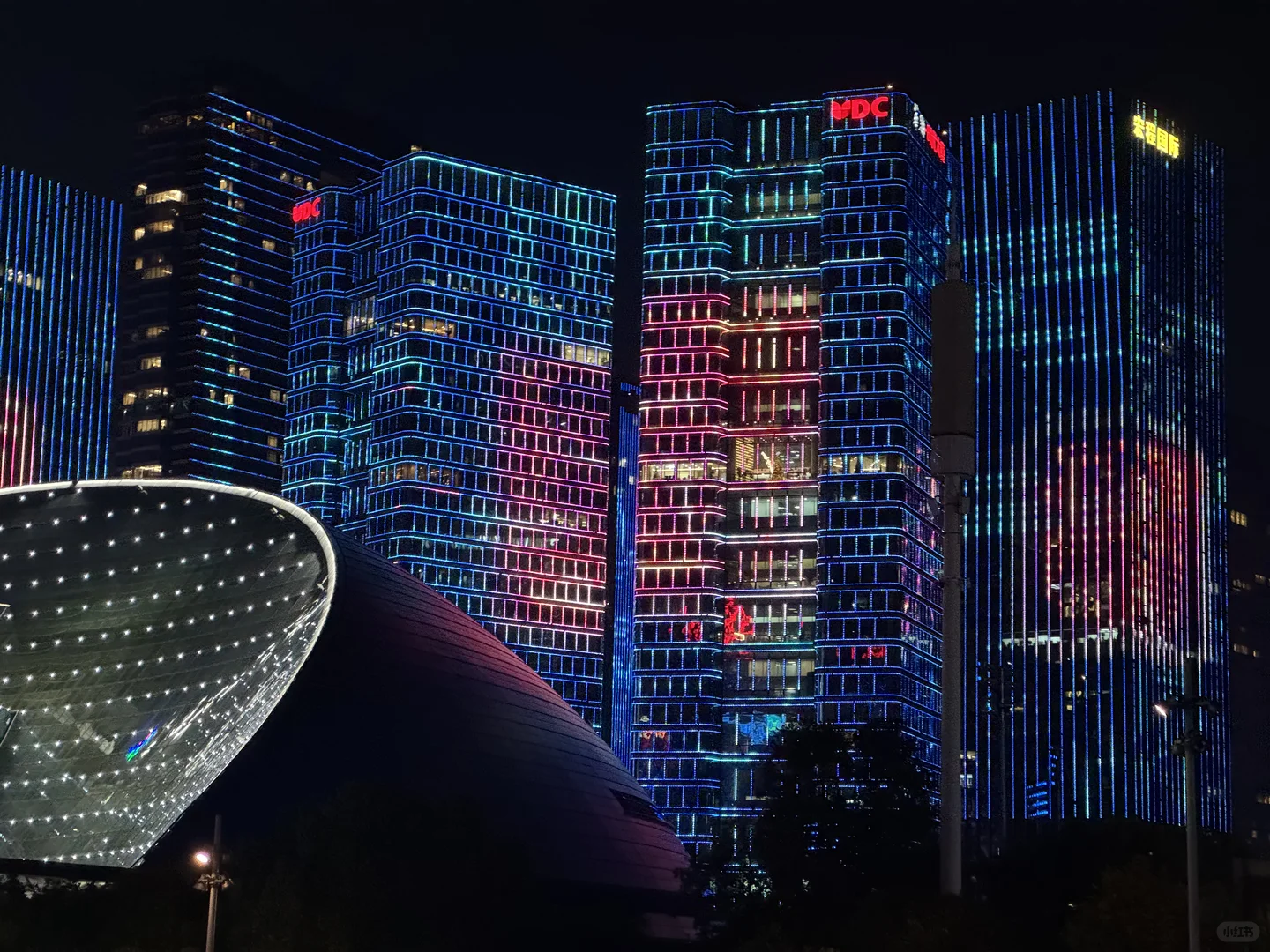 WTA年会与何超琼女士合影