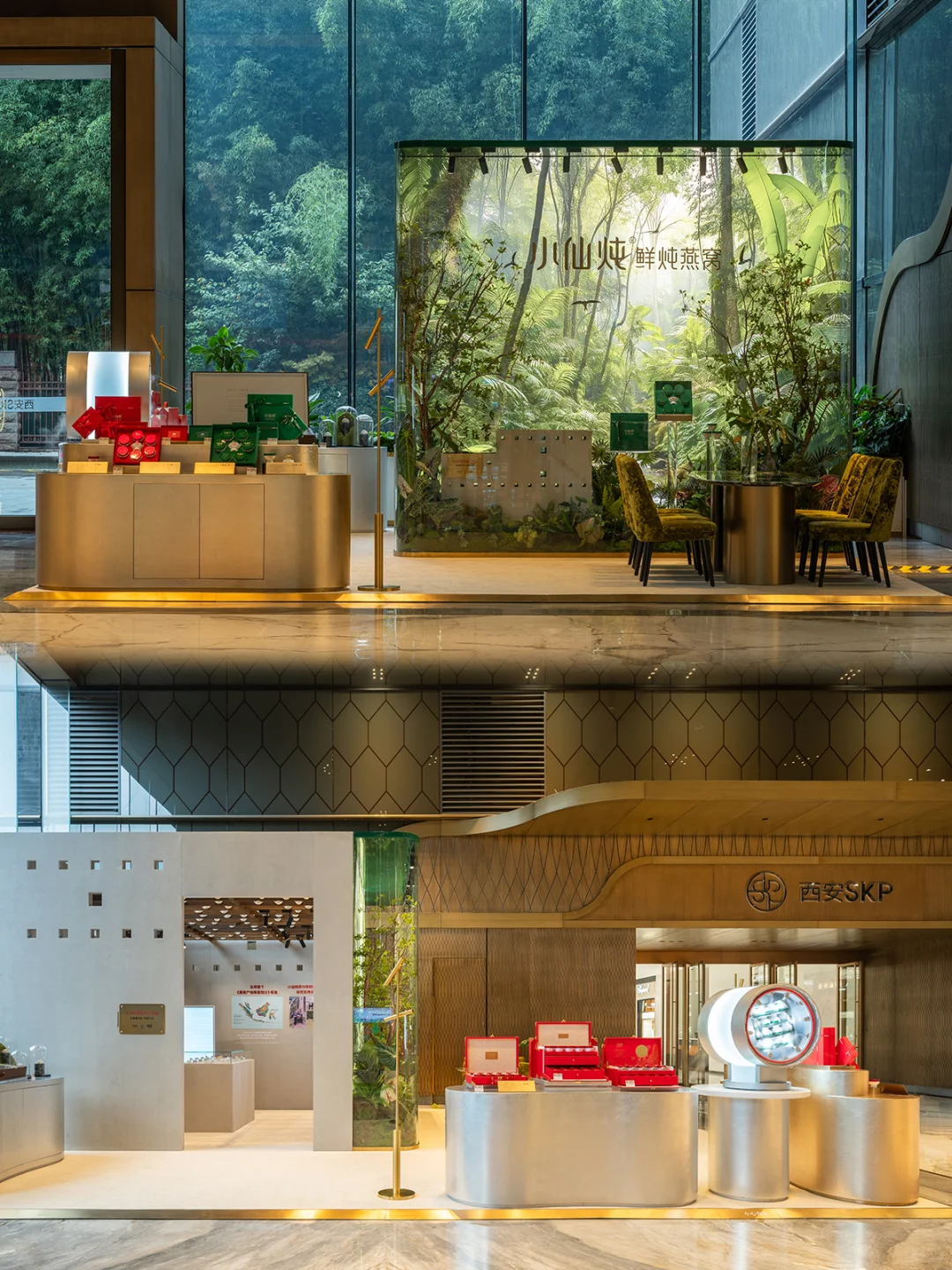 小仙炖「雨林珍宝」空降西安啦！速来打卡