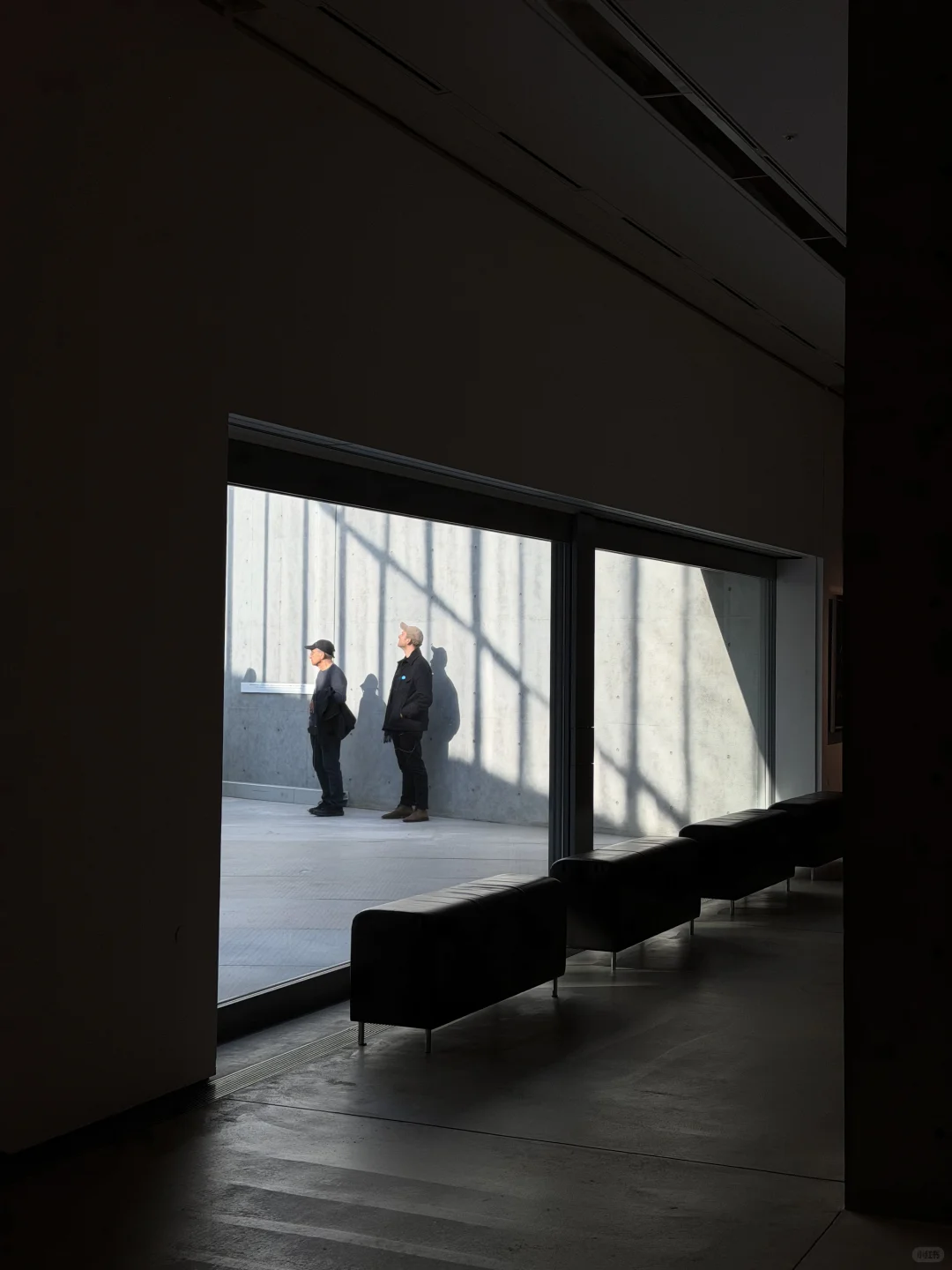 东京看展｜这个冬天不能错过的设计展‼️?