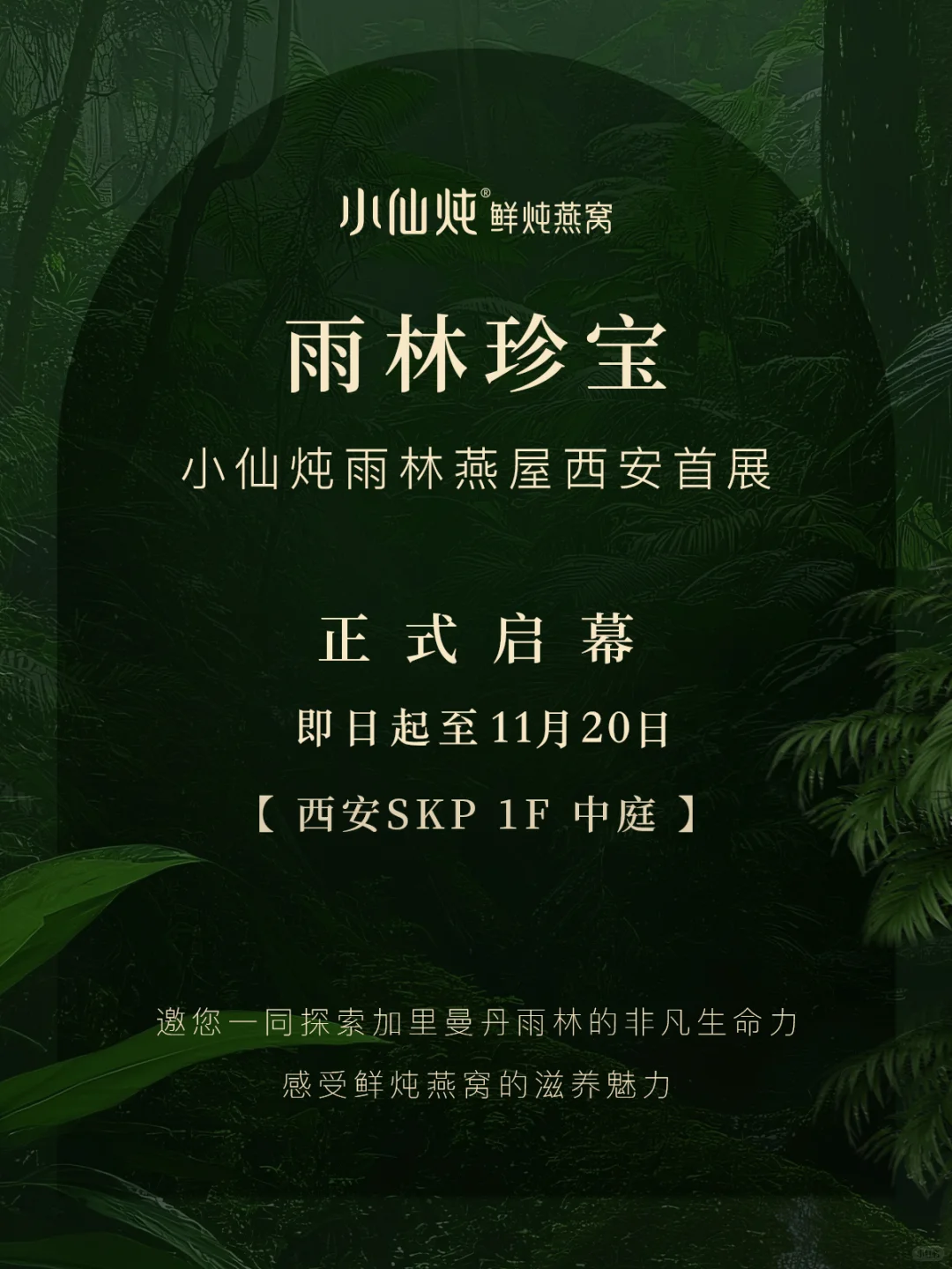 小仙炖「雨林珍宝」空降西安啦！速来打卡