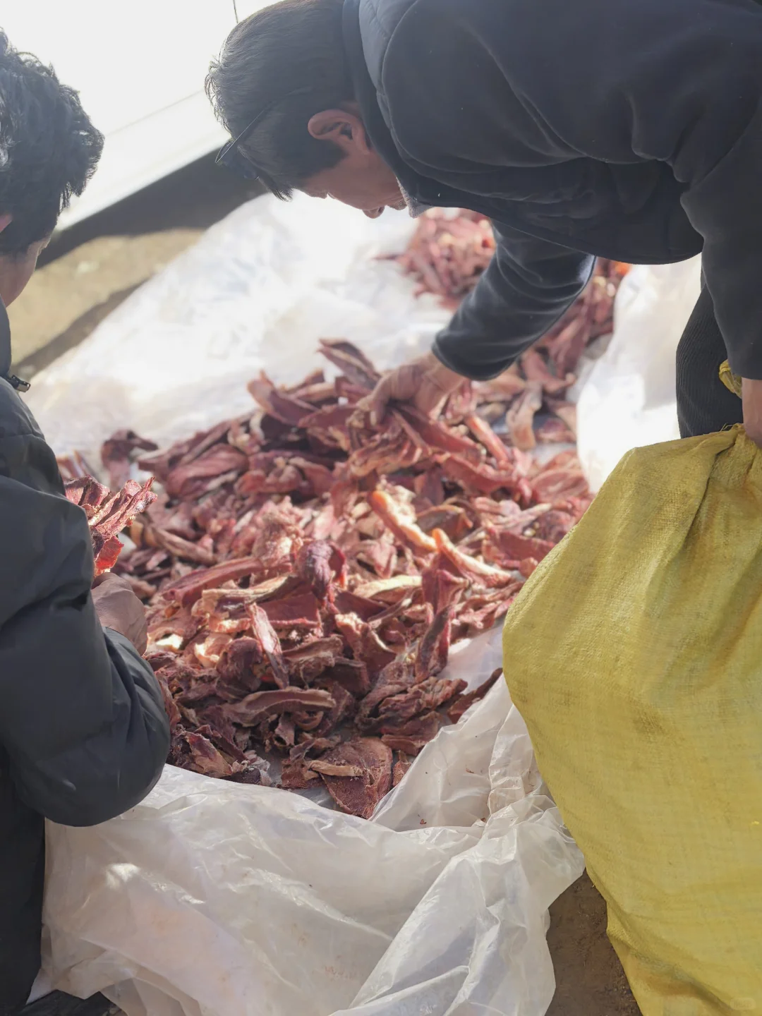 山南乃东的物资交易会