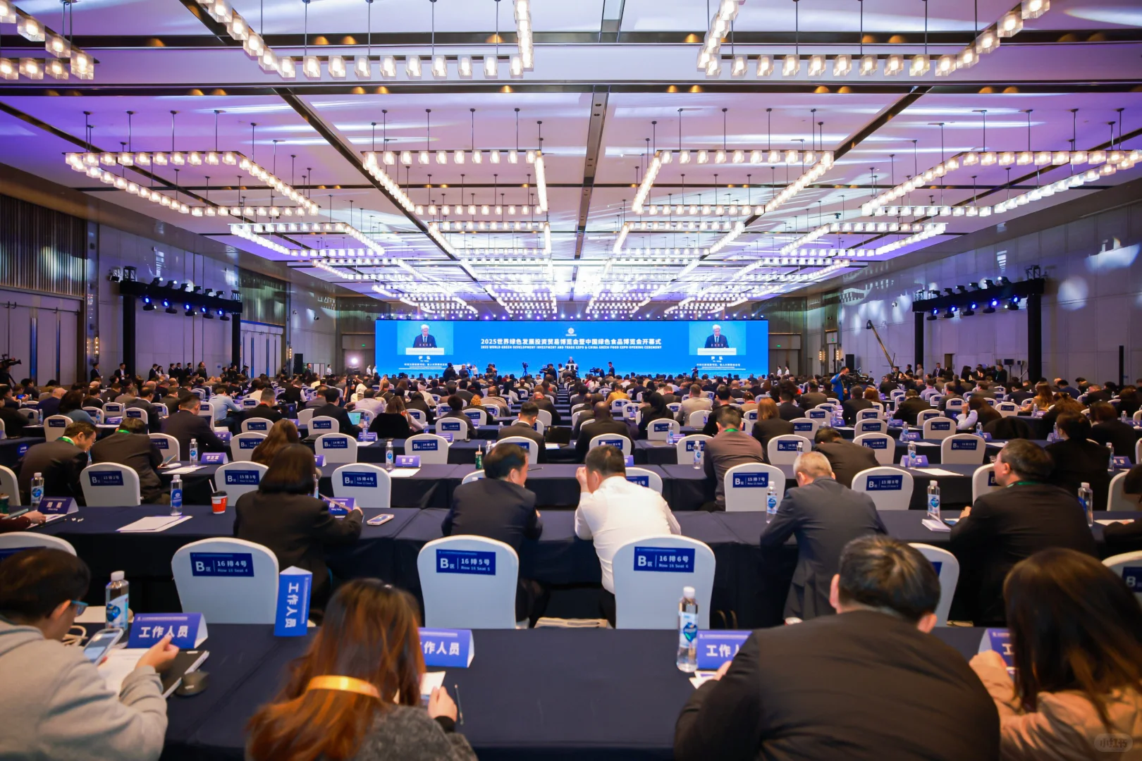 高端政务会议拍摄（照片直播）