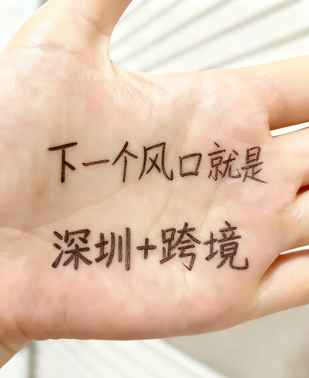 下一个风口是深圳+跨境电商