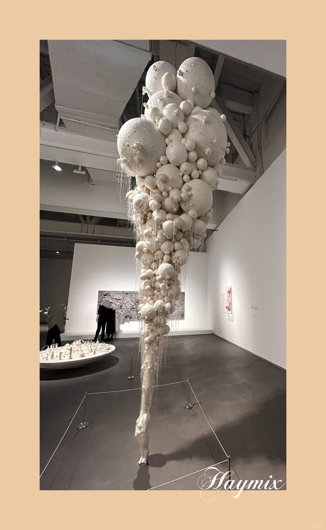 上海看展—第十五届上海双年展花儿听到蜜蜂