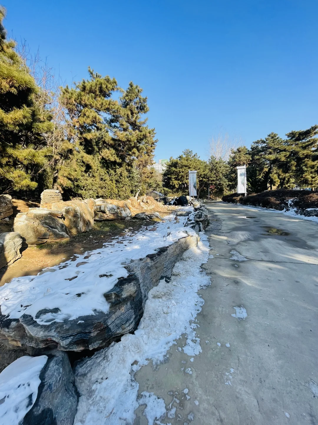 河北美术学院首届微缩模型先锋艺术展