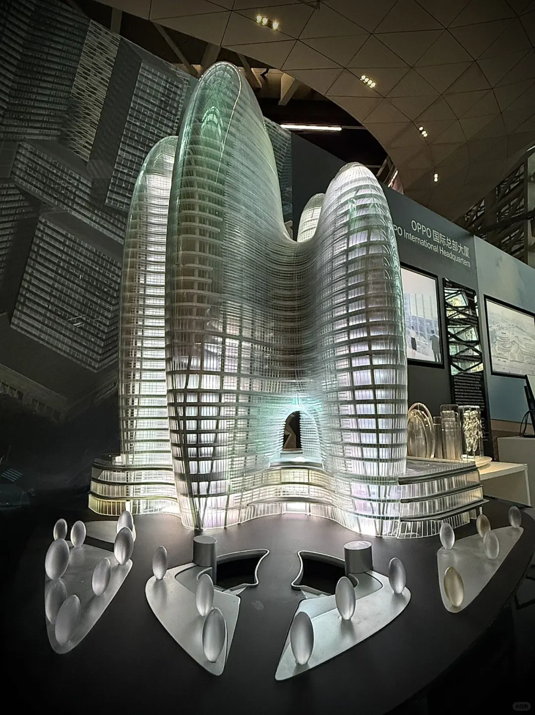 深圳新展|扎哈·哈迪德|线条与结构的狂想!