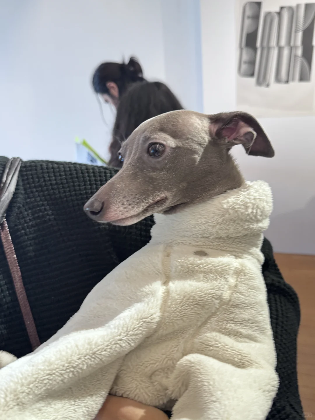 Design 360设计展真的很不错诶