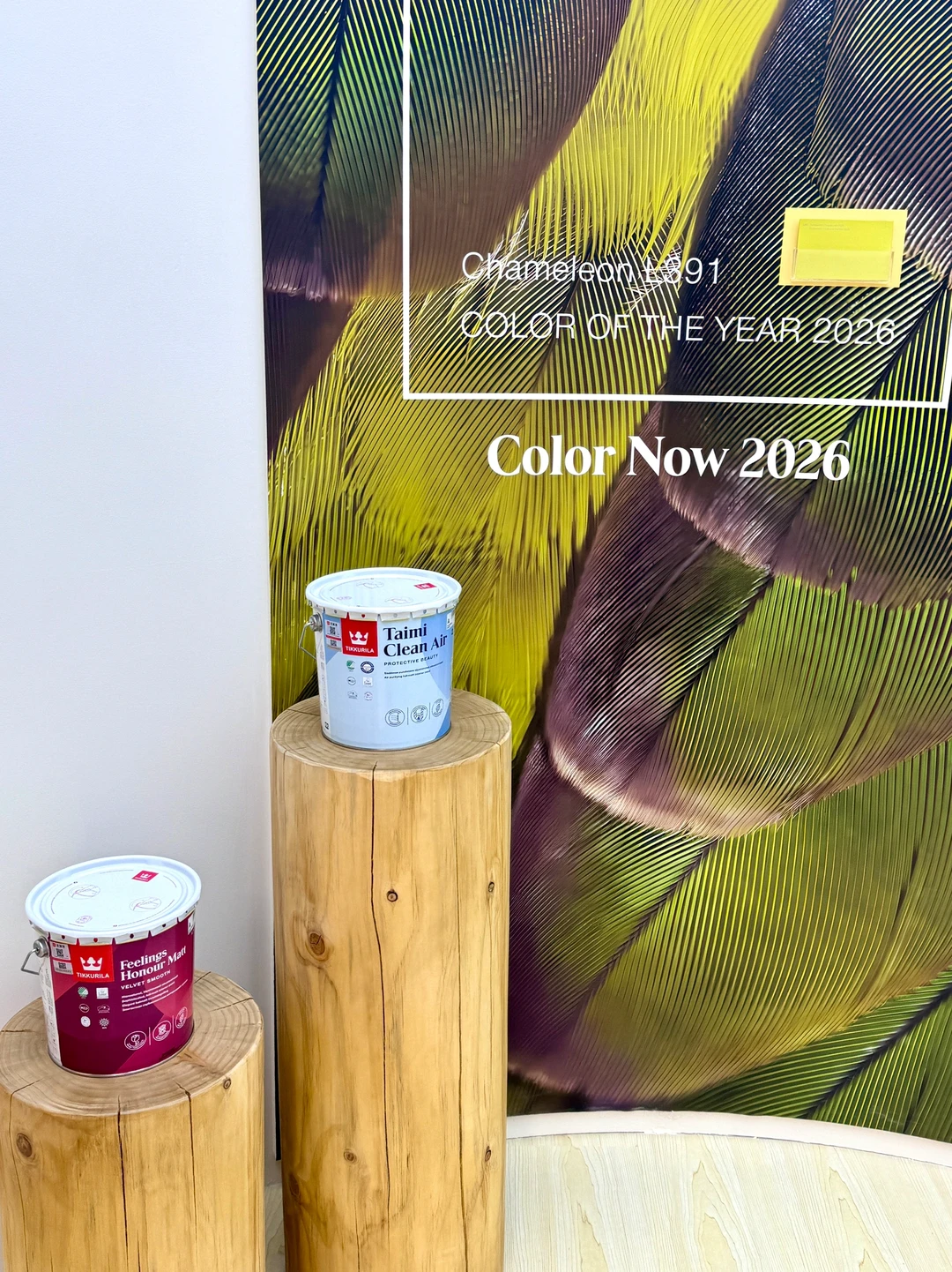 广州设计展·展览馆的北欧美学风格?️✍️?