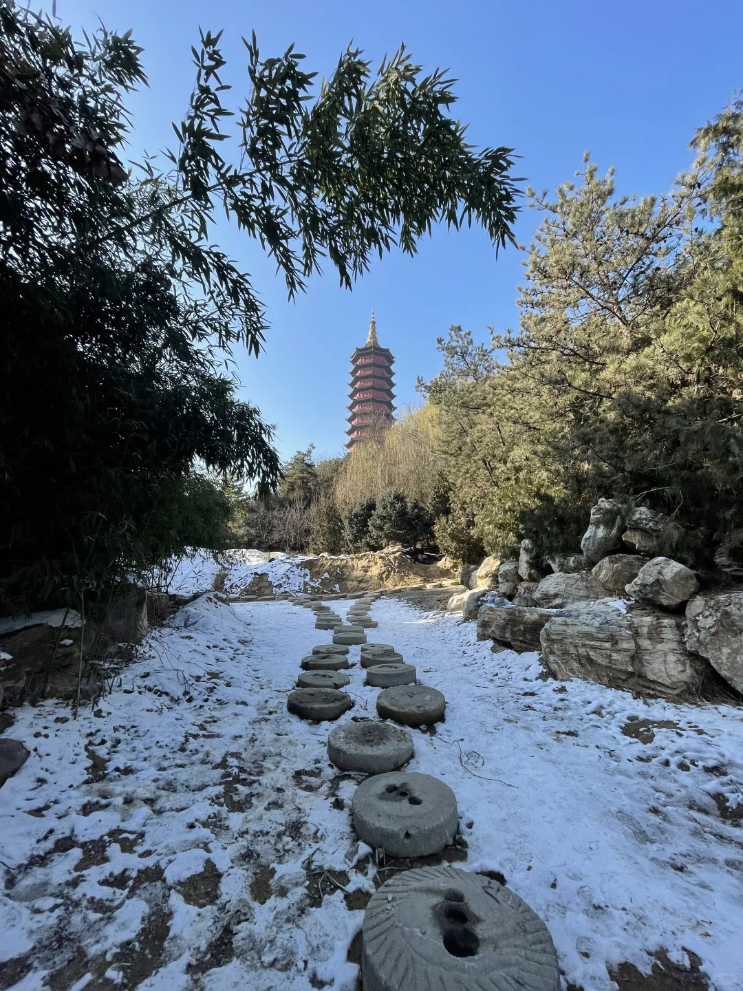 河北美术学院首届微缩模型先锋艺术展