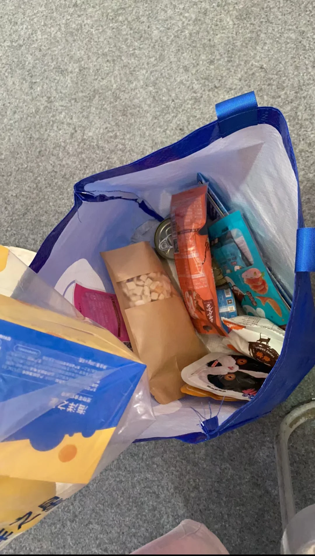 深圳宠物展门票杀疯了!25块玩3天血赚?