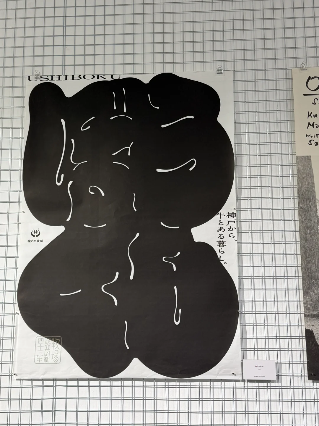 设计人(不是)狂喜‼️日本平面设计大展攻略✨