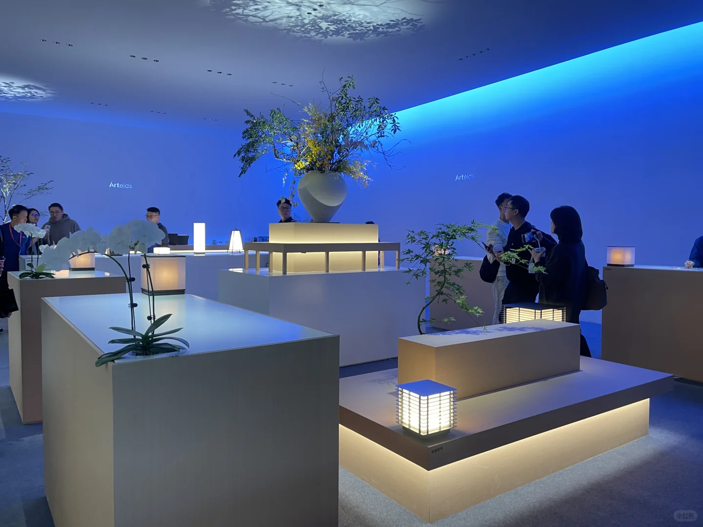 2025广州设计展，视觉盛宴