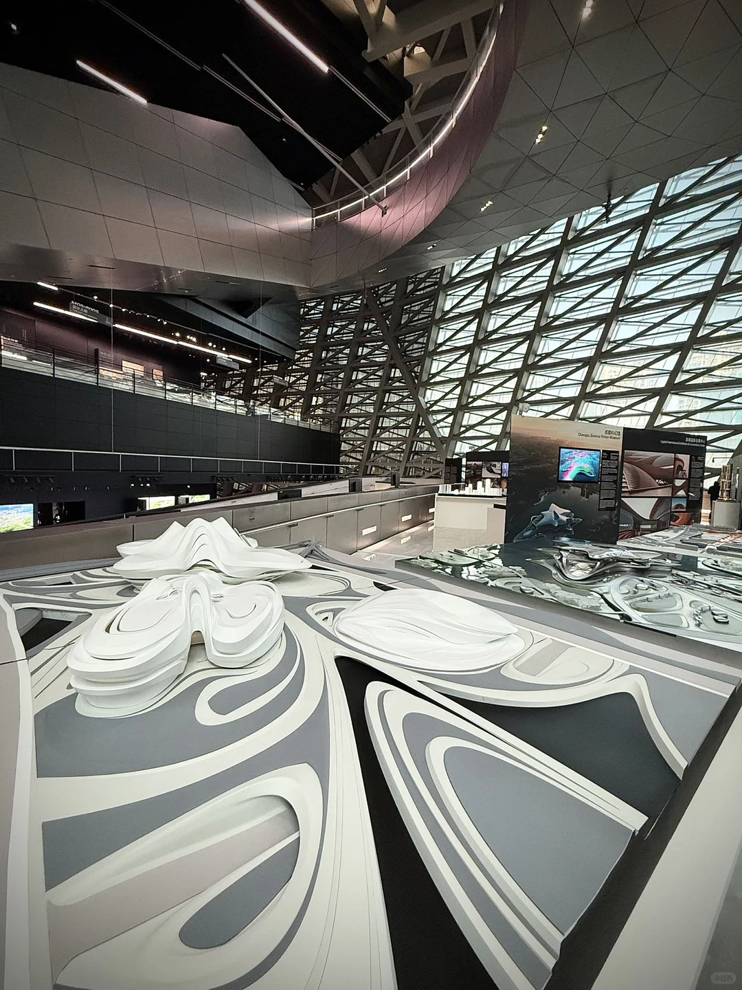 深圳新展|扎哈·哈迪德|线条与结构的狂想!