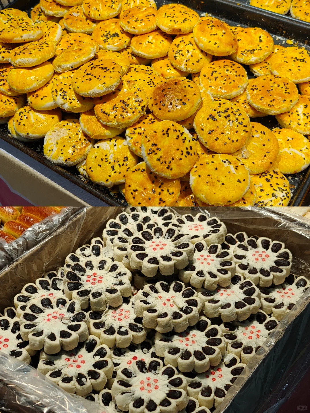 唐山人必冲?中外博览会没人能空手走‼️