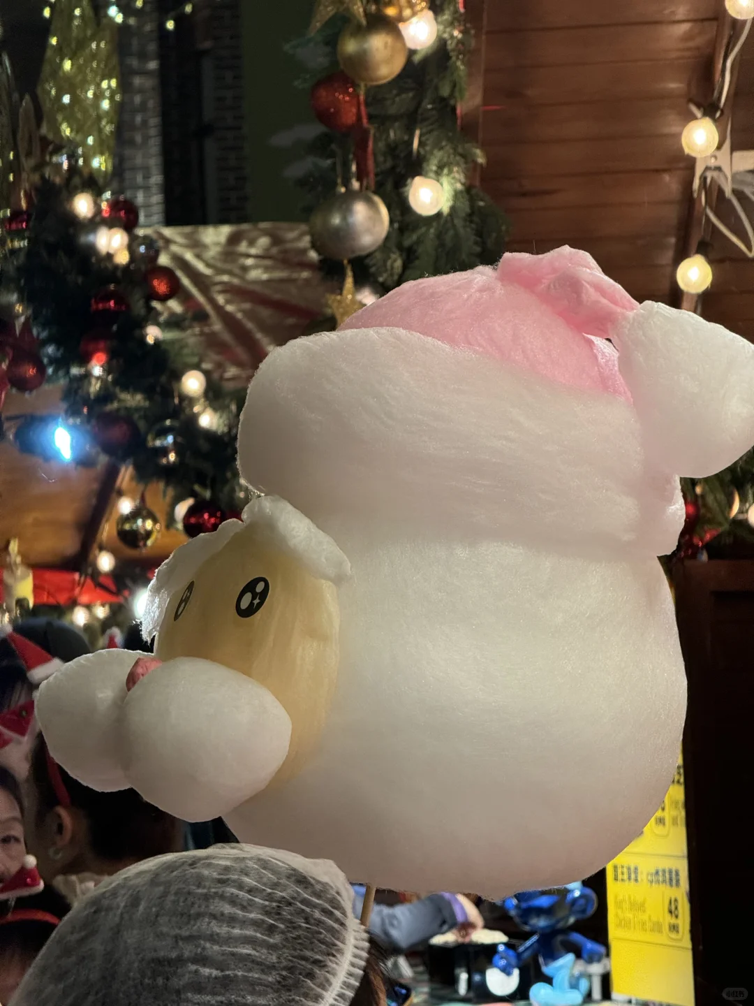 梦想成真！?❤️