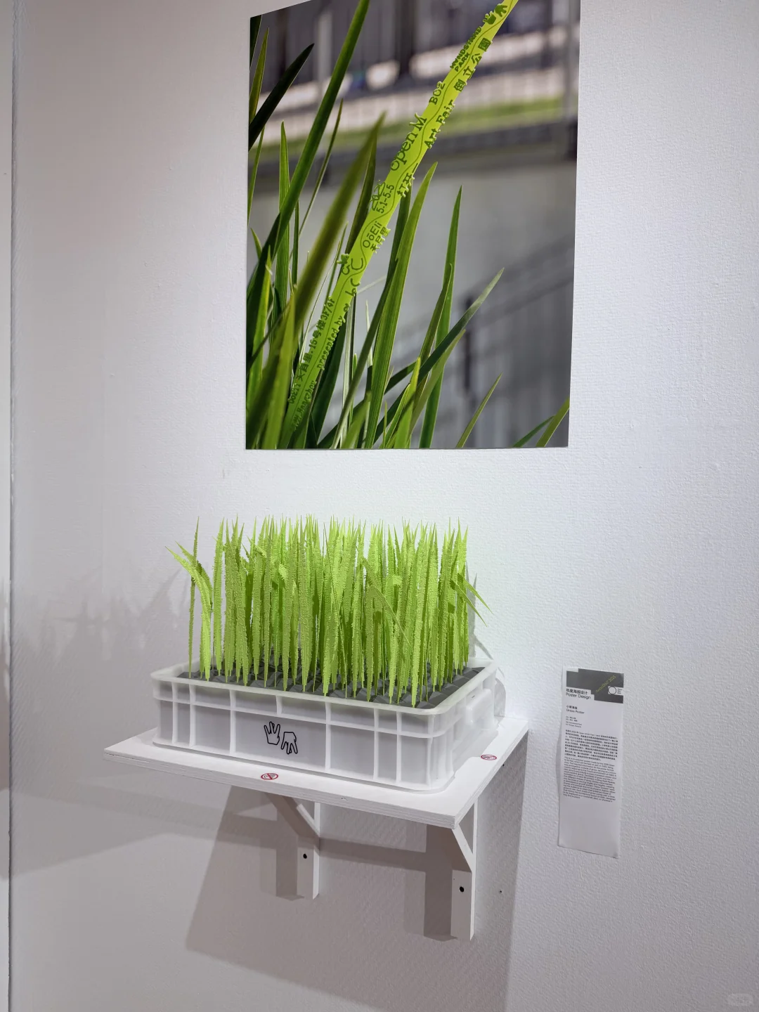 Design360｜快来寻找「品牌伙伴」Almond Rocks