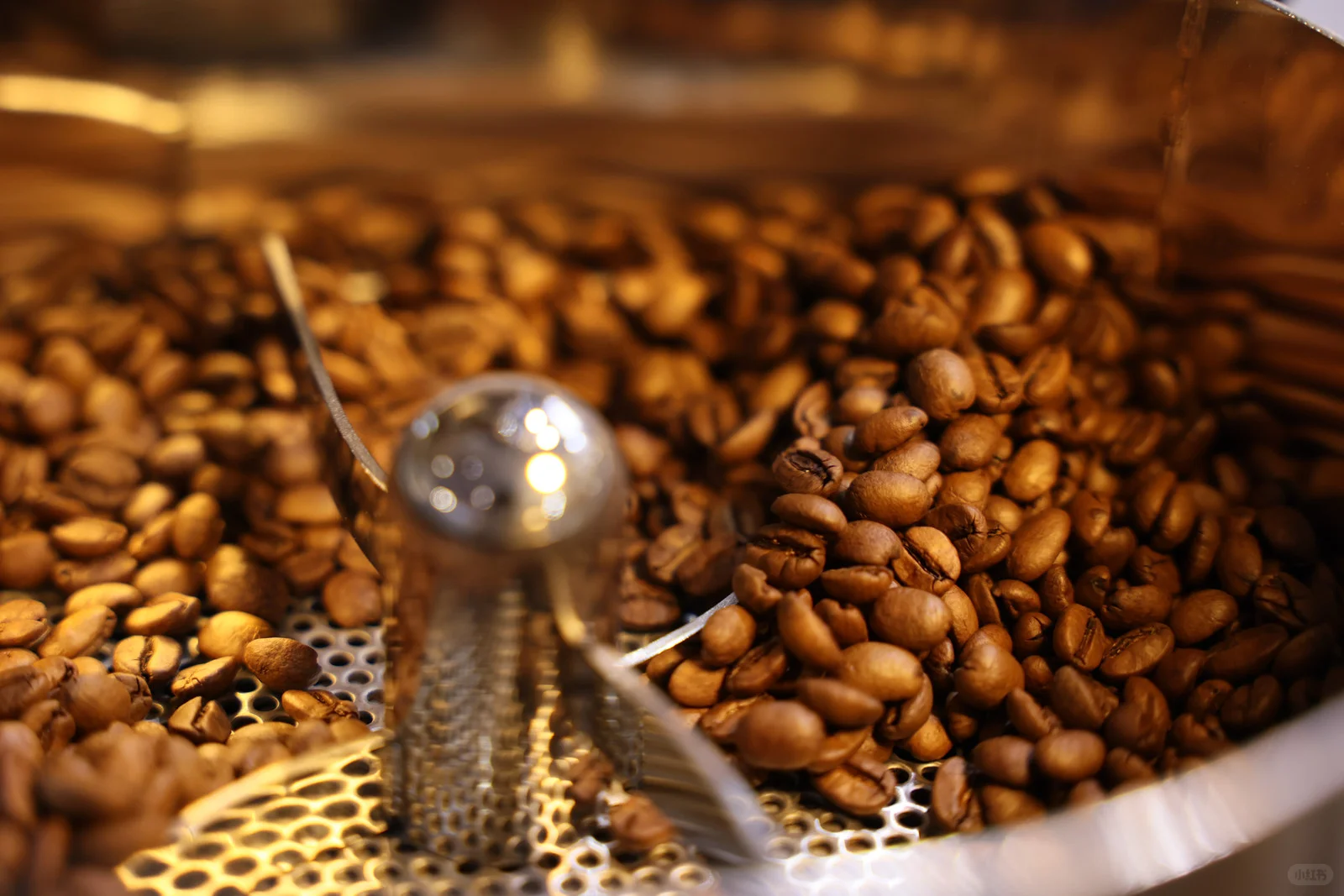 沙特展会｜三豆客的中东“圈粉”实录??