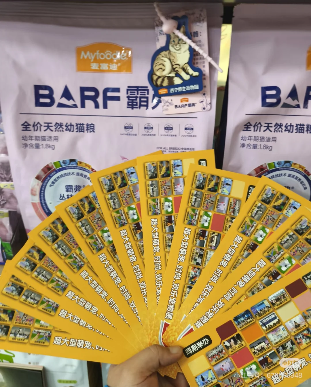 鸿威世界宠物博览会，南昌站他来啦