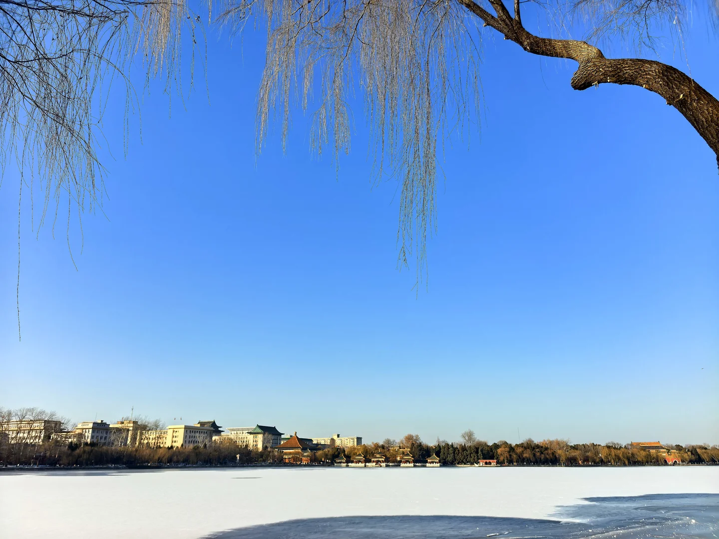 晒到了北纬39°的阳光
