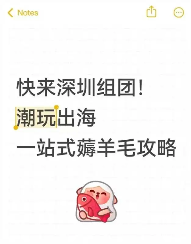 快来深圳组团！潮玩出海一站式薅羊毛攻略