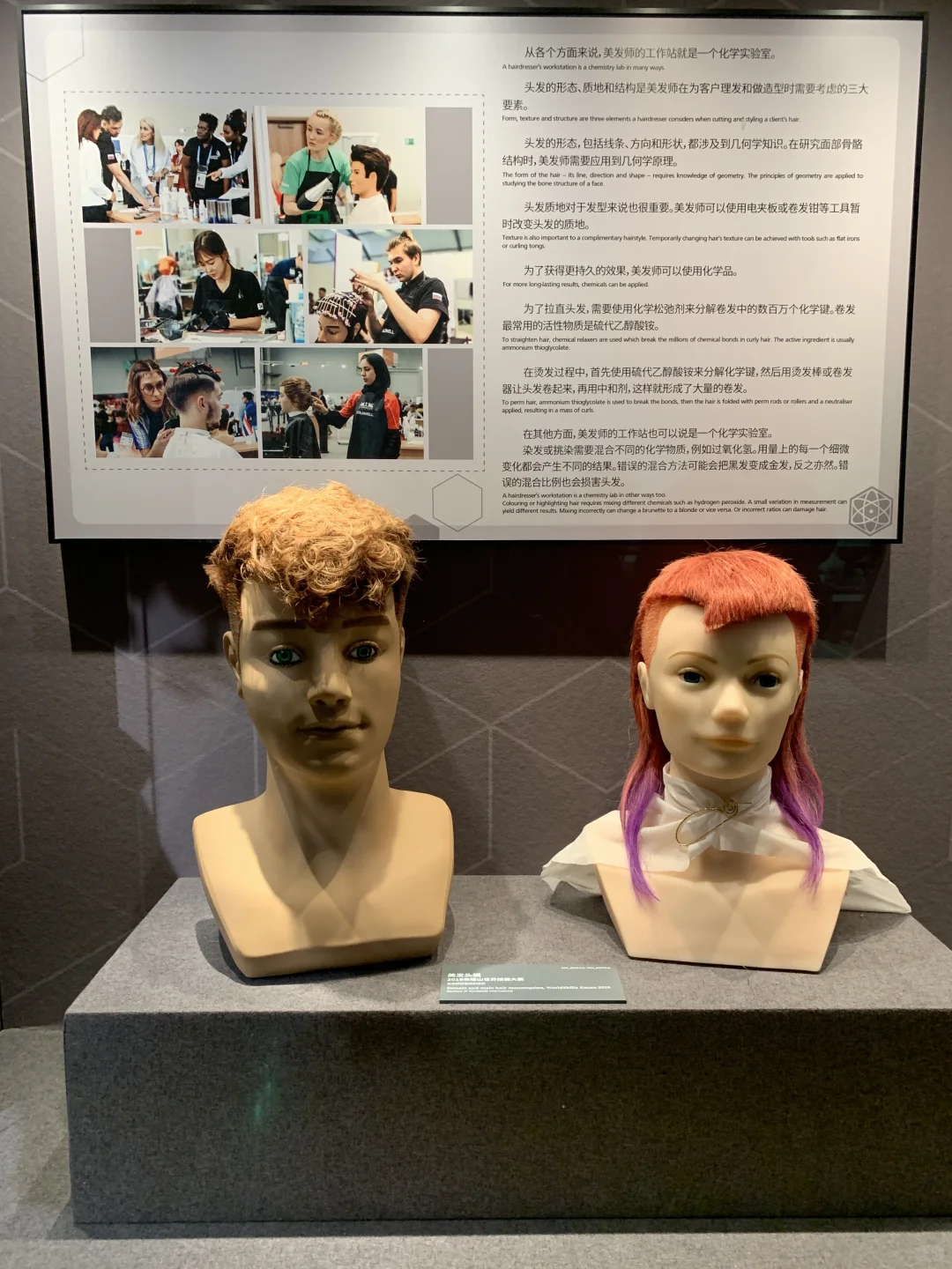 二刷世界技能博物馆|新AI展攻略实测封神?️