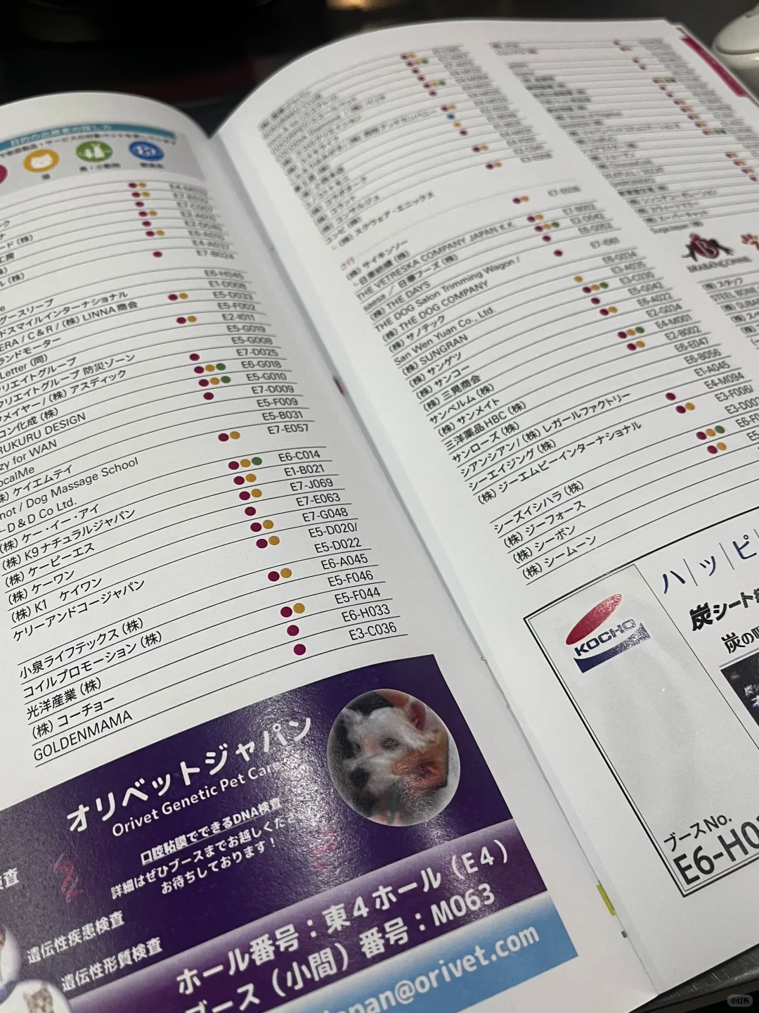 ⭐宠物行业人必看!境外参展保姆级攻略❗️