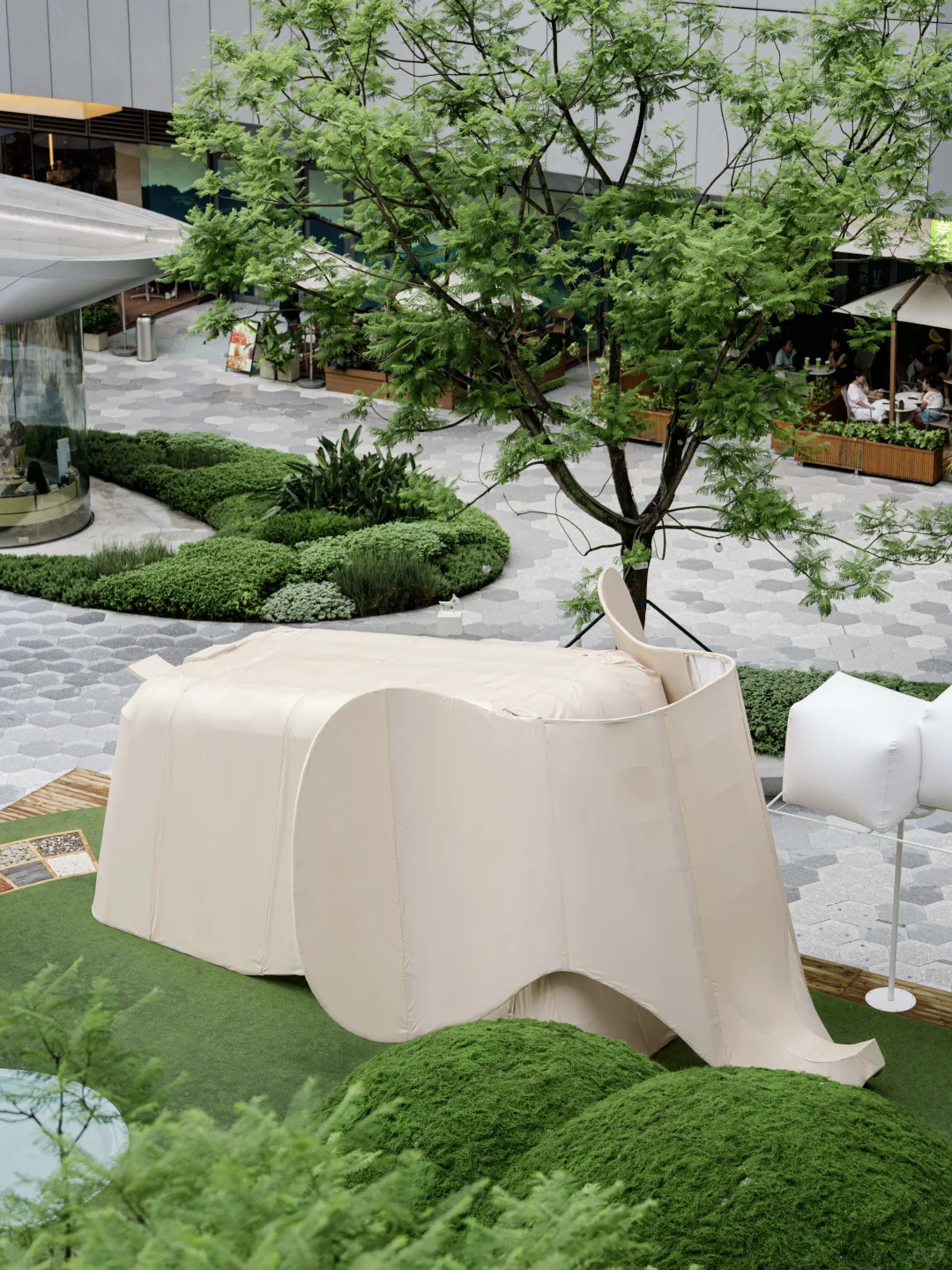 吹泡泡的大象，邀你打卡自然乐园