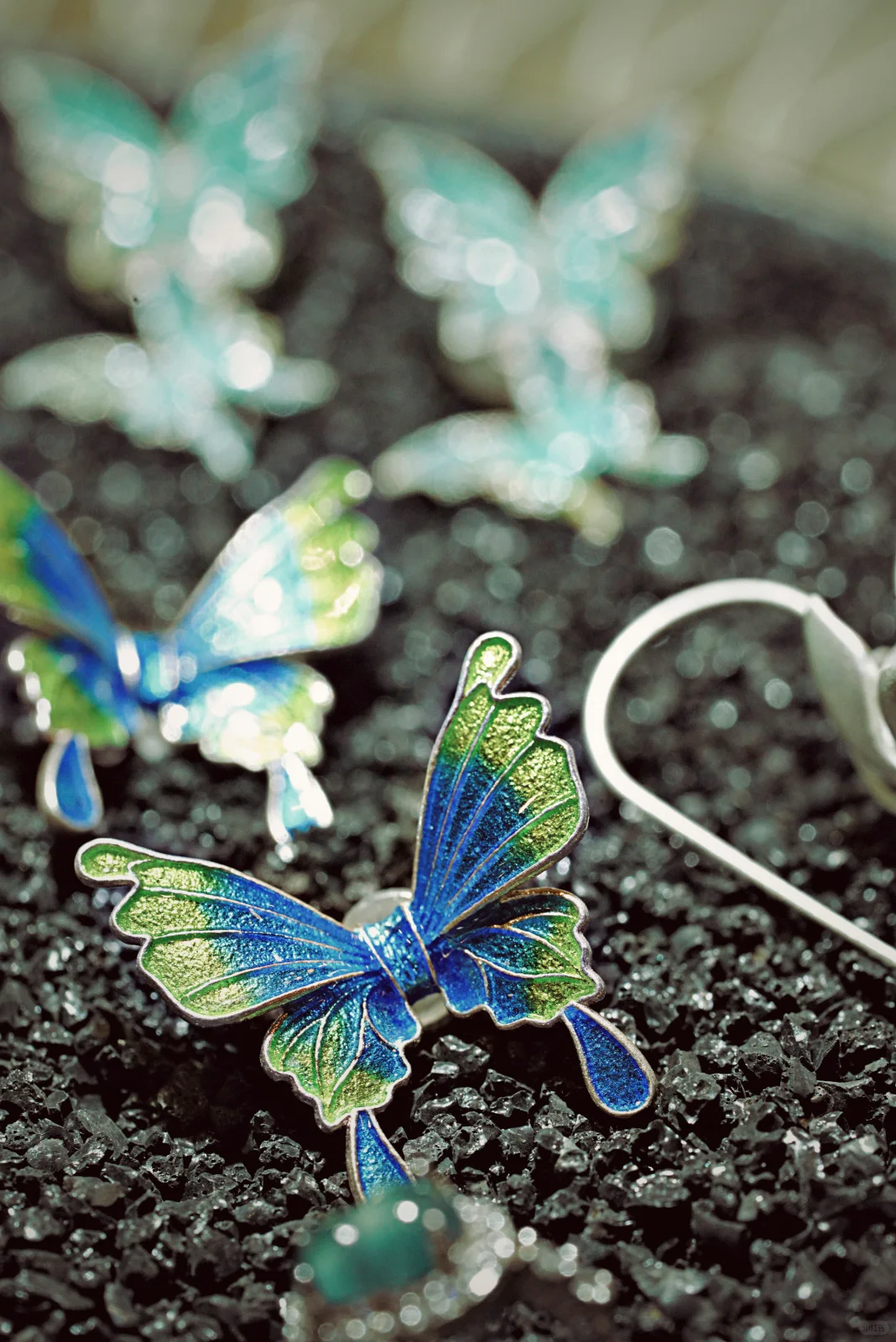 第二自然｜小进博最治愈的角落！?