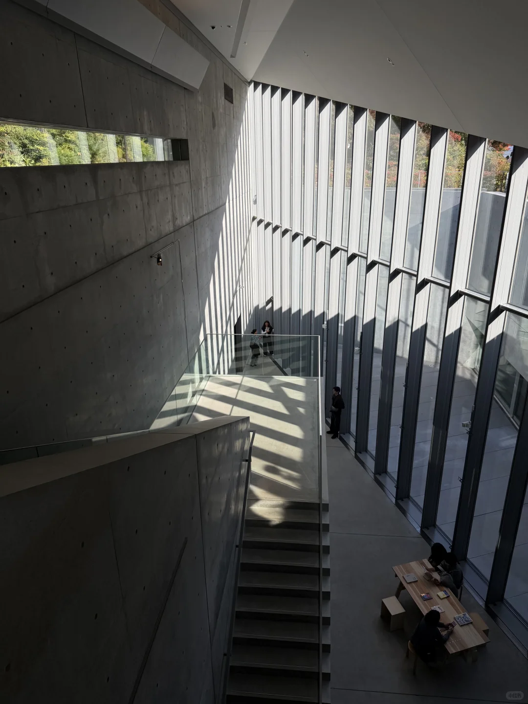 东京看展｜这个冬天不能错过的设计展‼️?