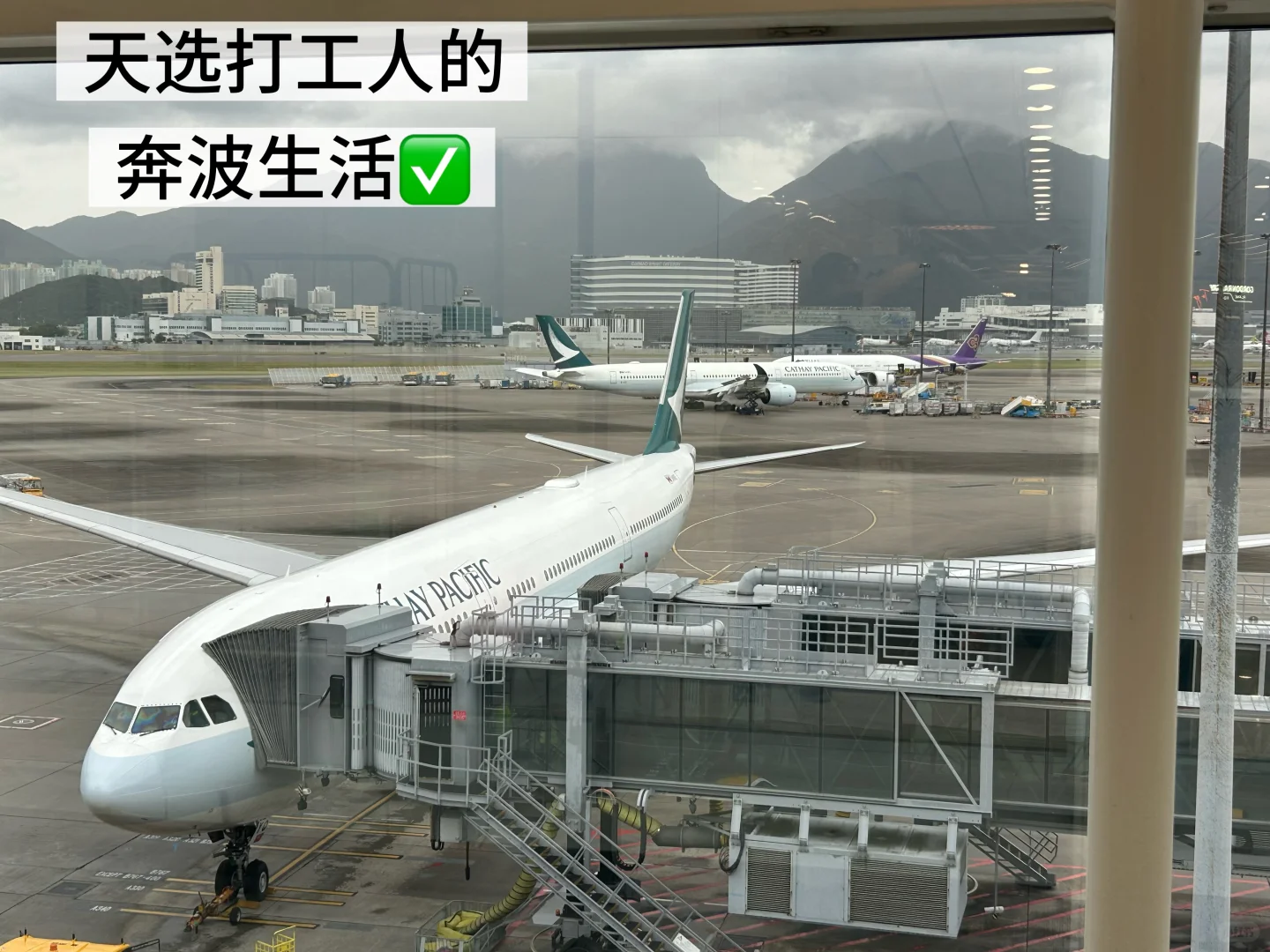 外贸展会干货 + 出差防护指南✨