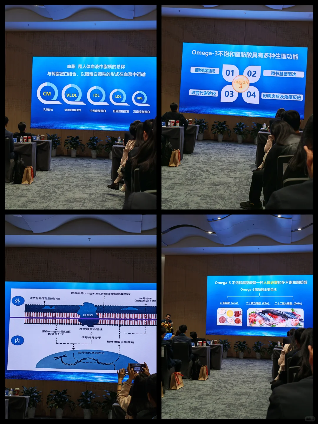 ?国际营养展扫楼｜慢|过敏|药食同源