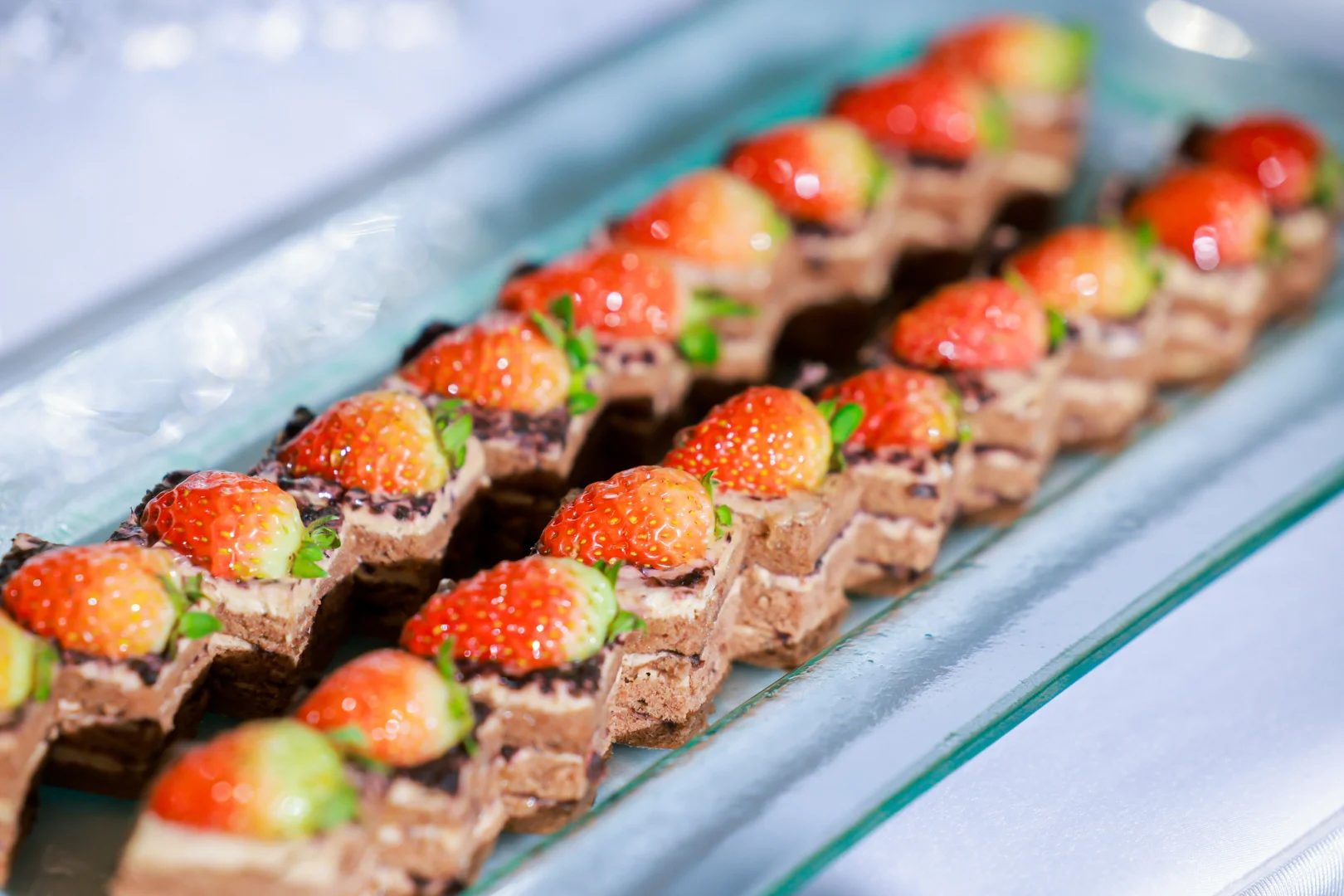 高端政务会议拍摄（照片直播）