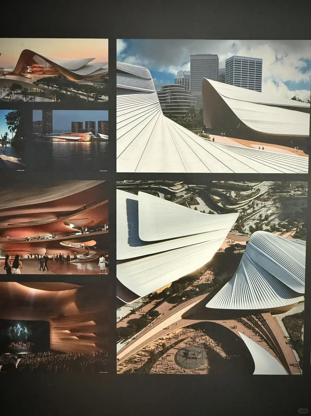 深圳新展|扎哈·哈迪德|线条与结构的狂想!