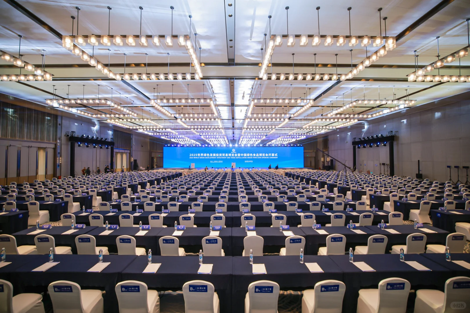 高端政务会议拍摄（照片直播）