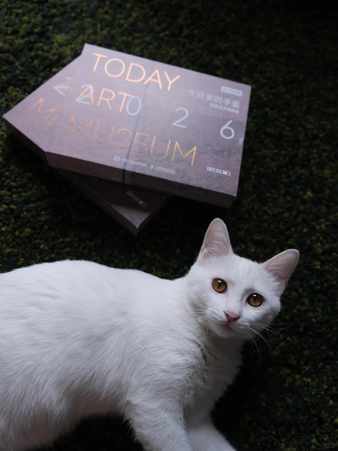 买周历就能白嫖美术馆门票❗这羊毛你不薅？