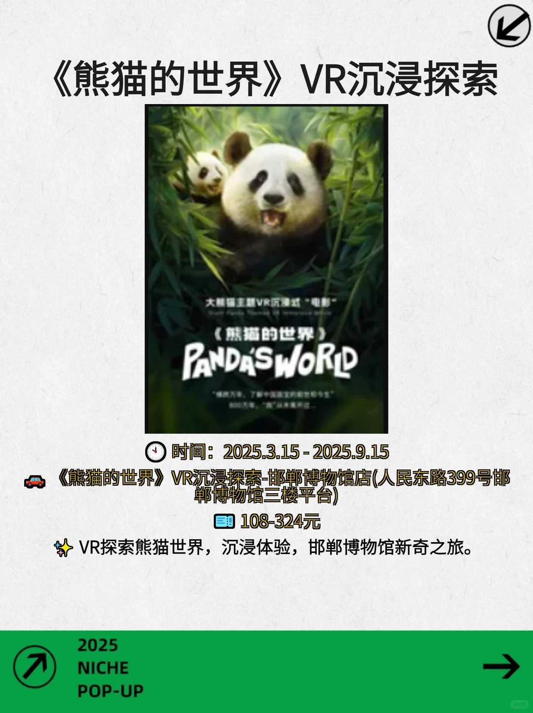 邯郸一周文青小众活动等你来?️