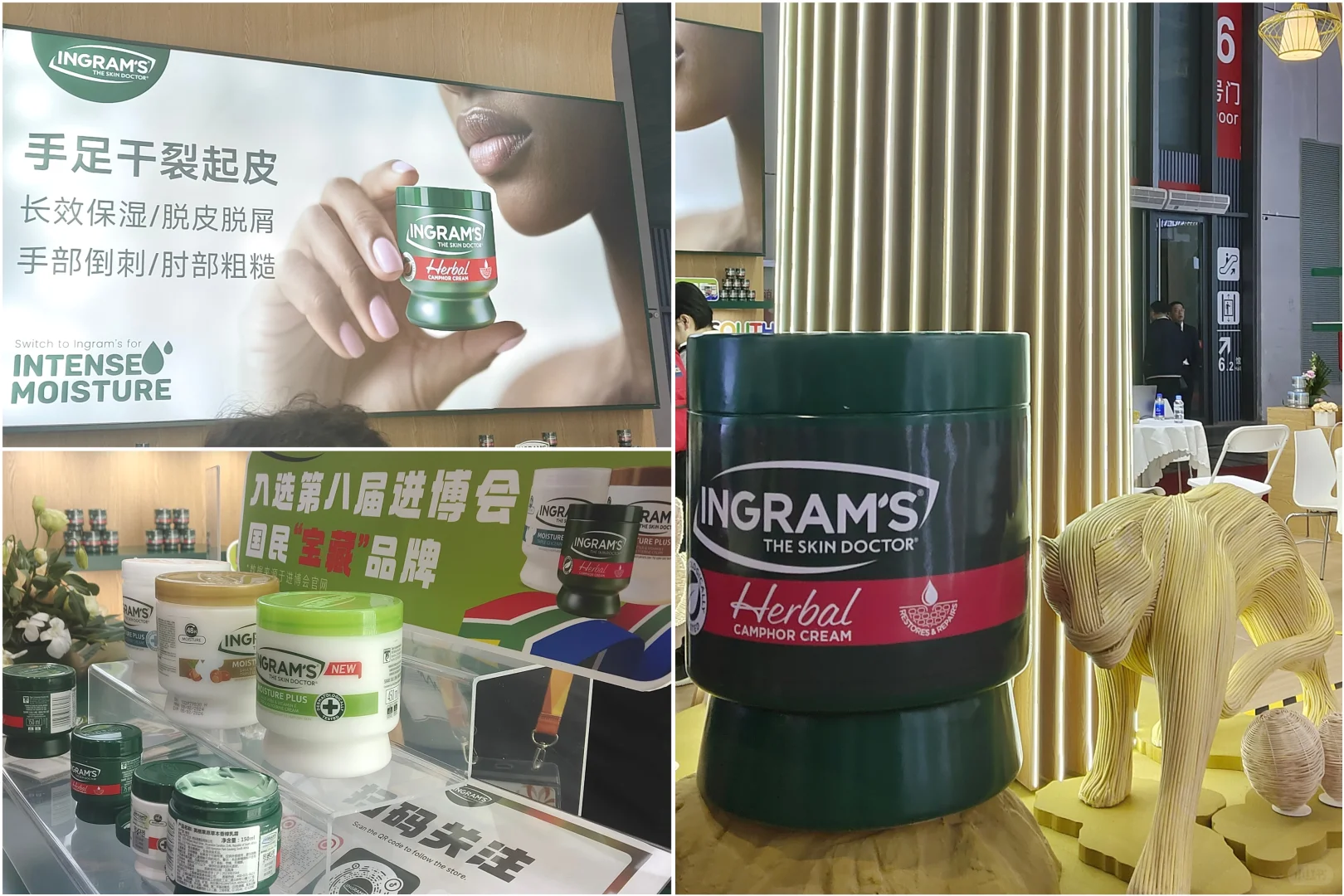 魔都看展｜2025上海进博会回味（追星）篇