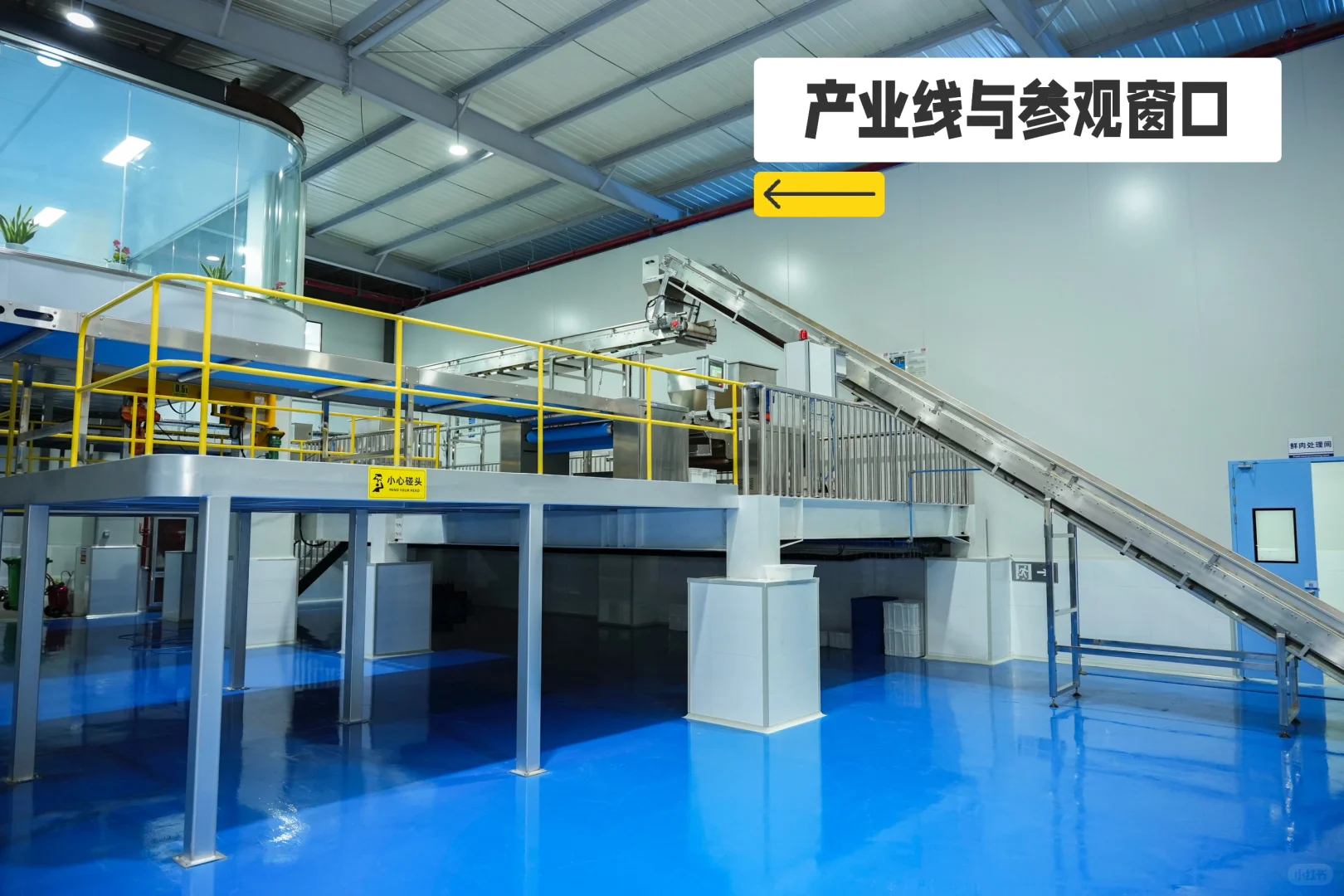 烘焙粮不再是“大牌专利”！小白也能安全上车