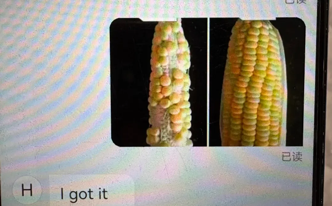 我们做外贸的人一定会赚大钱的5.0