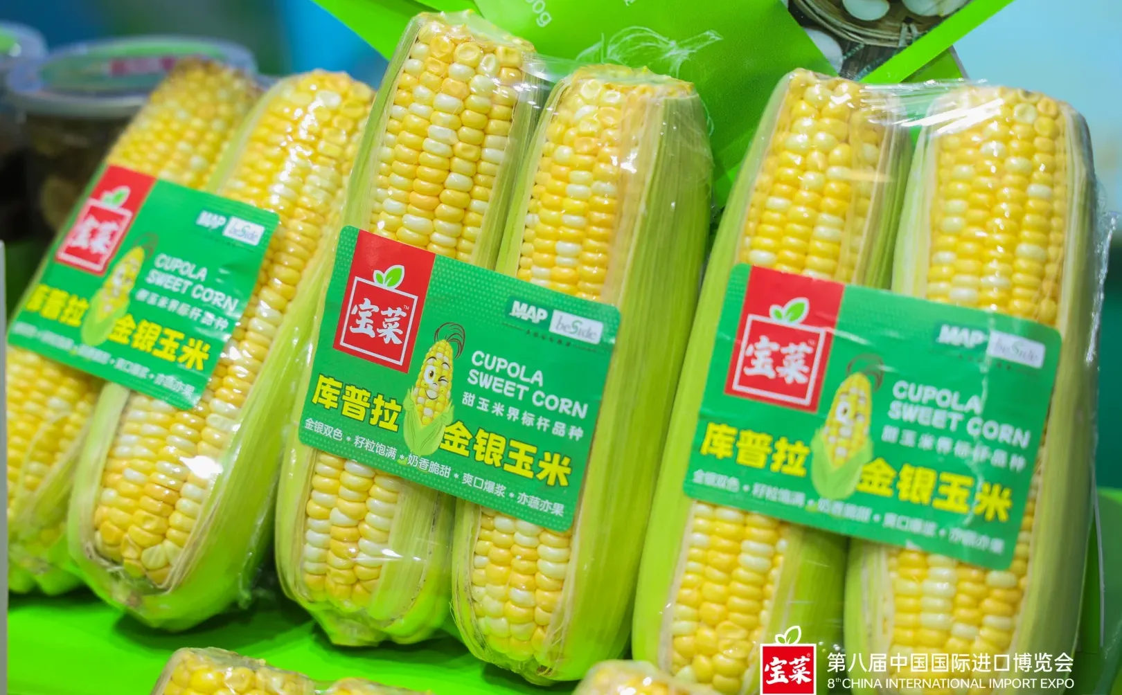 2025进博会完美收官！以后要一直走花路呀！