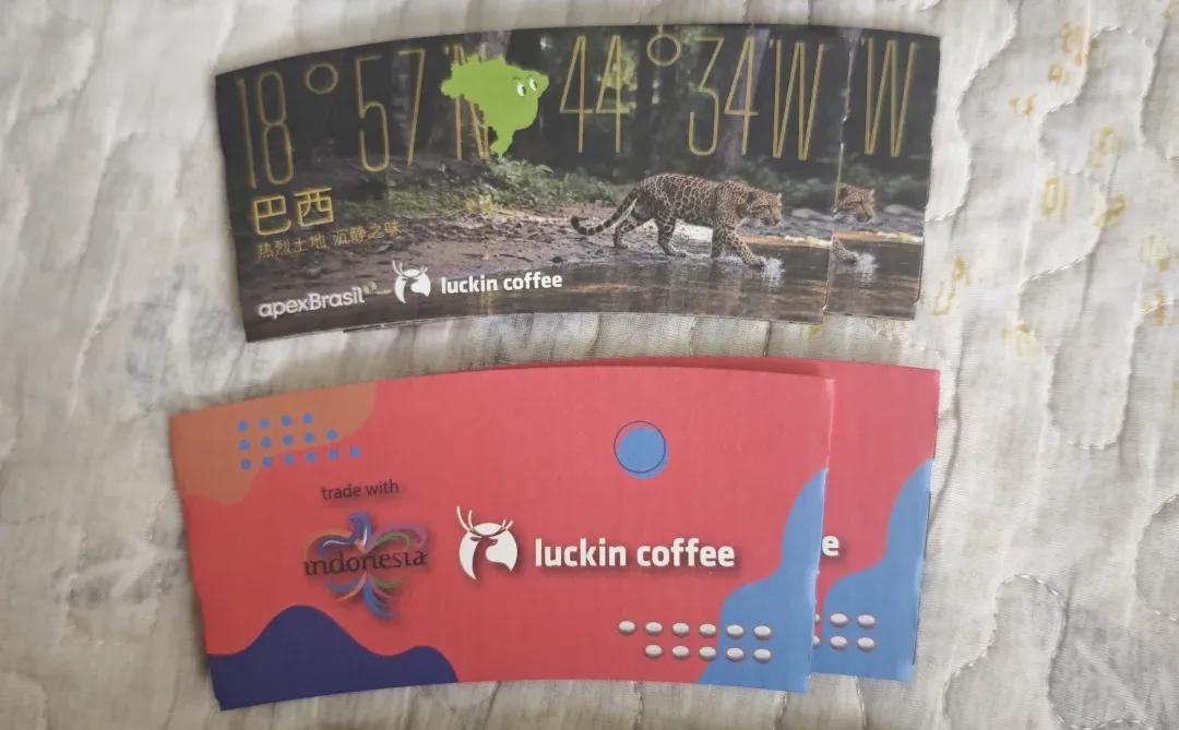 今日收货 进博会