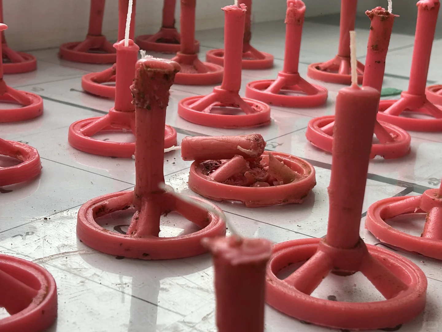 生工小菌团实训日记｜高新区解锁工程技