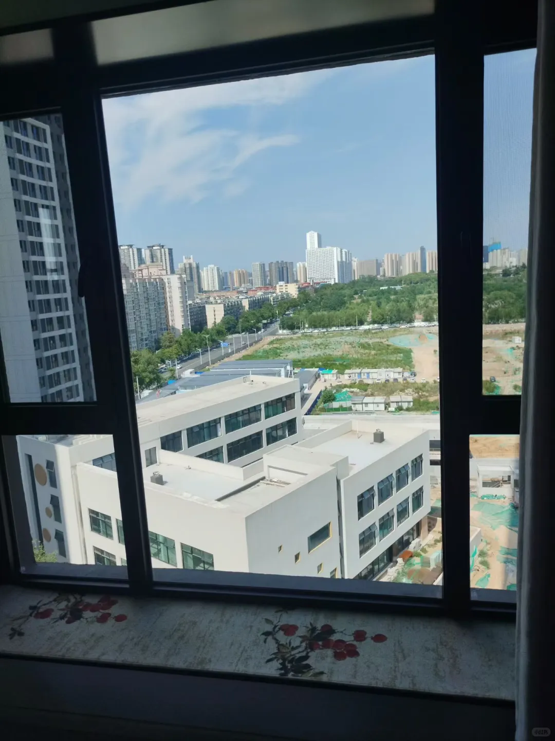 西安宝子！元旦擦玻璃羊毛速薅?