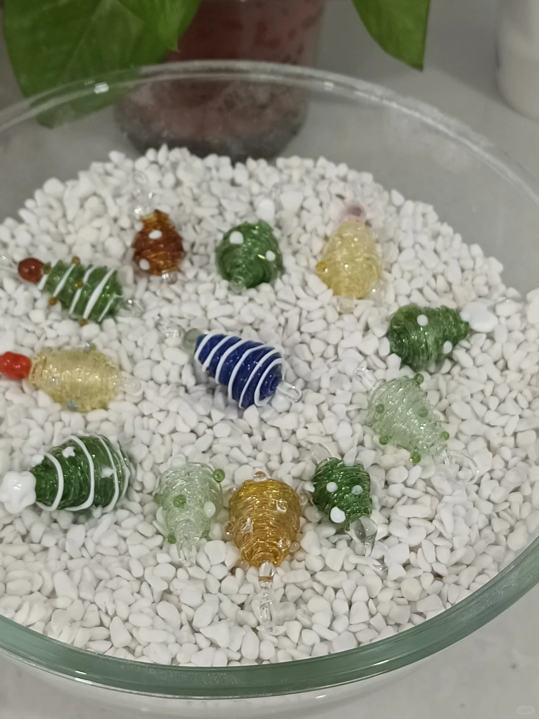 烧玻璃客作小分享、不限量、不限品！