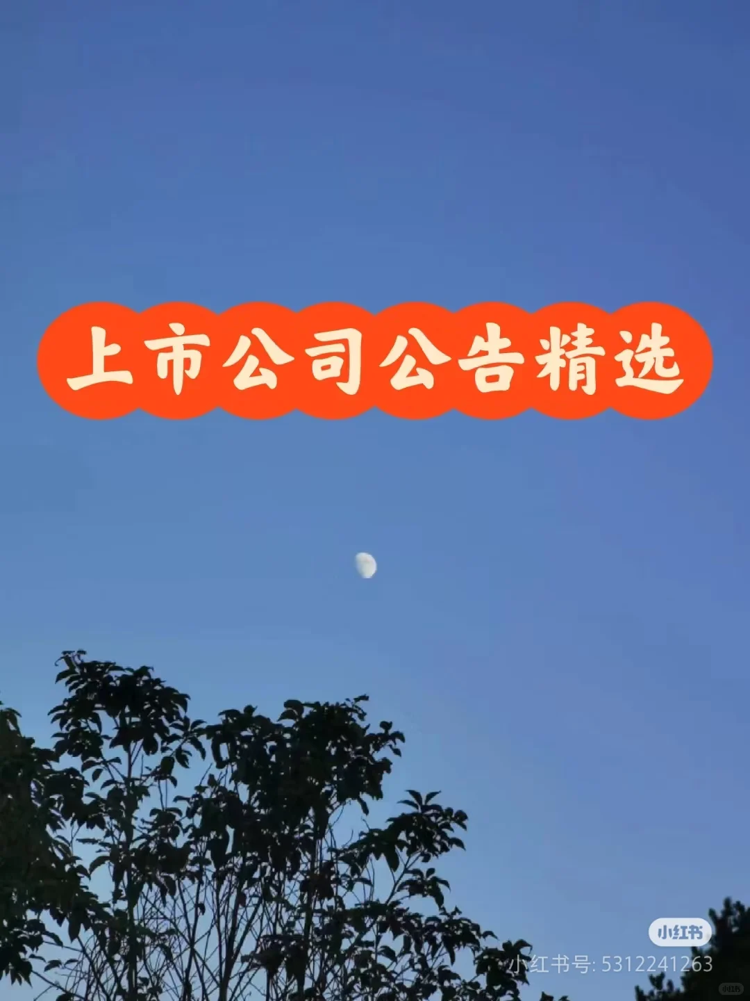 上市公司公告精选12.18