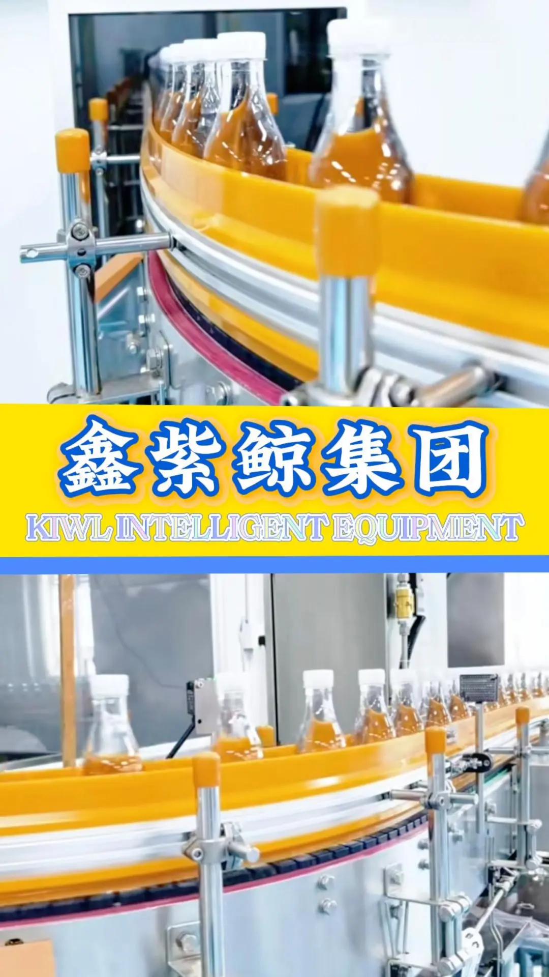 水、饮料、果汁、白酒灌装生产线